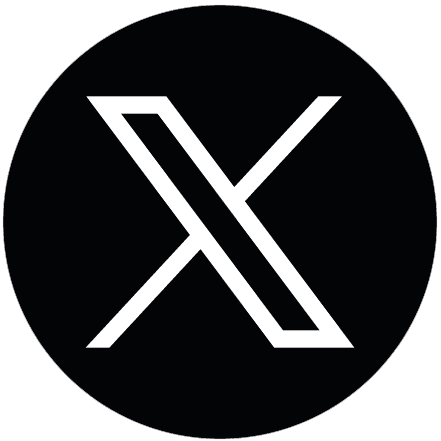 X Icon